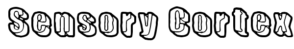 Sensory Cortex font preview